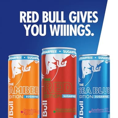 Red Bull Energy Drink Sugar Free Variety Pack, Red, Amber, and Sea Blue, with 80mg Caffeine, Taurine & B Vitamins, 8.4 fl. oz., 2 x 12 pack, 24 Cans Case - Image 4