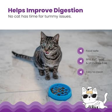 Catstages Kitty Slow Feeder Cat Bowl for Wet or Dry Cat Food, Helps Prevent Bloat & Improve Digestion, Non-Slip, BPA-Free, Small, Blue - Image 5