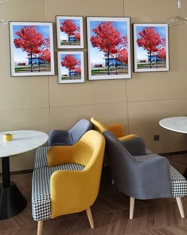 Medog Studio Gallery 24x36 Poster Frame Black,Display Pictures 24x36 Picture Frame, Studio Gallery Frame, Wall Schools Colleges Sign Frame, 1 Pack - Image 6