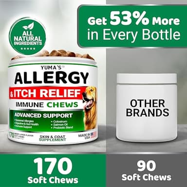 Dog Allergy Relief Chews - Dog Itching Skin Relief Treatment Pills - 170 Treats - Anti-Itch - Itchy and Paw Licking - Hot Spots - Omega 3 Fish Oil - Dry Skin & Coat Supplement - Beef Liver Flavor - Image 5