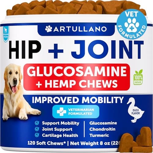 Hemp Hip and Joint Supplement for Dogs - Glucosamine for Dogs Joint Pain Relief - Chews with Chondroitin, MSM, Hemp Oil - Mobility Support, Cartilage Health - For Large, Small breeds - 120 Soft Treats - Image 1
