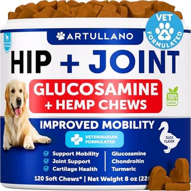 Hemp Hip and Joint Supplement for Dogs - Glucosamine for Dogs Joint Pain Relief - Chews with Chondroitin, MSM, Hemp Oil - Mobility Support, Cartilage Health - For Large, Small breeds - 120 Soft Treats - Image 1
