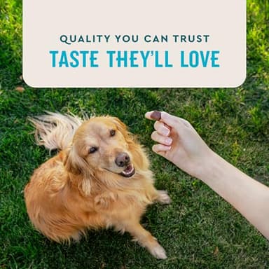 VetIQ Advanced Hip & Joint Chews For Dogs, 60 Count, Chicken Flavored Supplements Made with Glucosamine, Omega 3’s, Chondroitin, MSM & Green Lipped Mussel, Increases Mobility & Maintains Muscles - Image 6