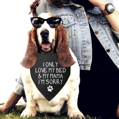 I Only Love My Bed and My Mama Puppy Dog Scarf I Love My Mom Dog Bandana Funny Cute Black Dog Bandana Photo Prop Pet Scarf Accessories for Pet Dog Lovers Dog Mom Gifts - Image 4