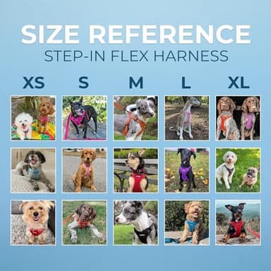 Best Pet Supplies Voyager Mesh Dog Breathable Harness Reflective Stitching, All Weather Adjustable for Walking Training, or Running - Heavy Duty & Durable, Harness (Turquoise), L - Image 7