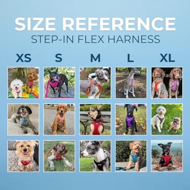 Best Pet Supplies Voyager Mesh Dog Breathable Harness Reflective Stitching, All Weather Adjustable for Walking Training, or Running - Heavy Duty & Durable, Harness (Turquoise), S - Image 6