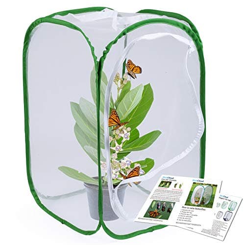 23.6" Large Butterfly Habitat Insect Cage Caterpillars Enclosure Pop-up Clear View 6 Mesh Panels 15.7 x 15.7 x 23.6 Inches Tall - Image 1