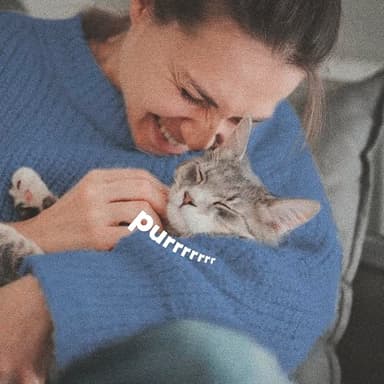 ADAMS Plus Flea & Tick Shampoo with Precor IGR for Cats, Kittens, Dogs & Puppies Over 12 Weeks Of Age, Sensitive Skin Flea Treatment, Kills Adult Fleas, Flea Eggs, Ticks, and Lice, 6 Ounces - Image 6