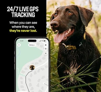 Fi Series 3 Smart Dog Collar - GPS Dog Tracker and Activity & Health Monitor, Waterproof, LED Light, Escape Alerts, Nationwide Coverage [Free 1 Year Membership] (Blue, Large) - Image 2
