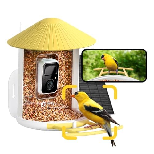 NETVUE by Birdfy Smart Bird Feeder with Camera – AI Identifies Birds Species 2MP Night Vision & App Alerts, 2.4Ghz Wi-Fi Connect IP65 Weatherproof Bird Camera-Gift for Backyard BirdWatchers, Yellow - Image 1