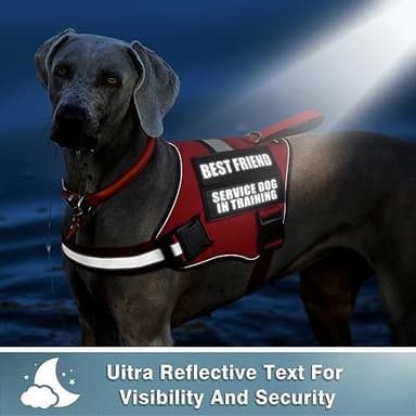 WINSEE Service Dog Patches for Service Vest Dog Harness(2 Pack, L) - Image 2