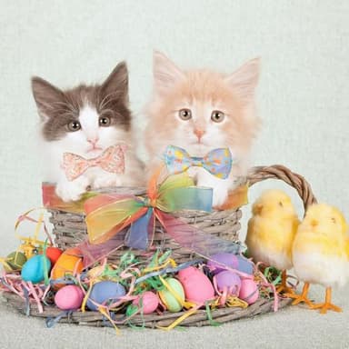 2 Pack Cat Collar with Bowtie and Charms Adjustable Breakaway Safety Design, Bunny and Pastel Egg Patterns, Soft Comfortable Nylon for Small Cats and Kittens - Image 6