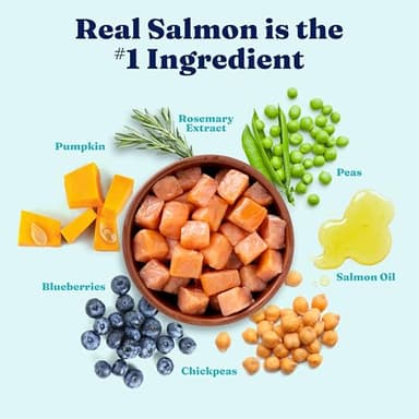 Solid Gold Salmon Dog Food for Sensitive Stomachs – Grain Free & Gluten Free Kibble w/Probiotics to Support Gut Health & Digestion - Sensitive Stomach Dog Food for All Ages – Nutrientboost™ – 22 LB - Image 3