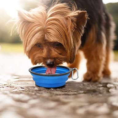 Kytely Large Collapsible Dog Bowls 2 Pack, 34oz Foldable Dog Travel Bowl, Portable Pet Water Food Bowl with Clasp, Pet Cat Feeding Cup Dish for Traveling, Walking, Hiking (Black+Blue) - Image 6