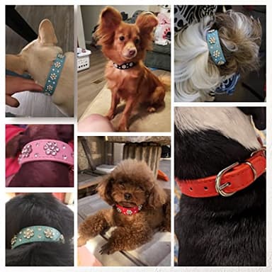 Rhinestone Flower Dog Collar - Sparkling Leather Pet Collar - for Small and Medium Dogs (Yellow XS) - Image 2