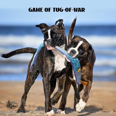 Nocciola EEL Squeaky Dog Toy, Tough No Stuffing Toy for Tug of War, Puppy Interactive Puzzle Fun to Keep Them Busy, Cognitive Crinkle Dog Toy for Large Medium Small Breed, Blue - Image 6