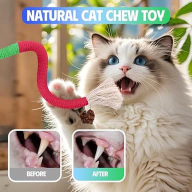 GBSYU Cat Toys Chew Rope & Silvervine Sticks for Bored Indoor Adult Cats, 6Pcs Interactive Catnip Toys for Cats with Refillable Natural Catnip Bag for Teeth Cleaning - Image 3