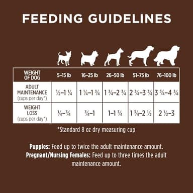 Instinct Be Natural, Natural Dry Dog Food, Raw Coated Kibble - Real Chicken & Brown Rice, 25 lb. Bag - Image 7