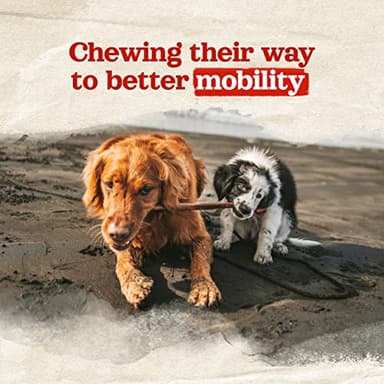 Natural Farm Bully Coated Gourmet Collagen Sticks (4 Inch, 25 Pack) – Real Bully Beef Coated, 95% Natural Collagen Dog Chews, Supports Healthy Joints, Skin & Coat - Best for Small & Medium Dogs - Image 4