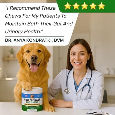 PAWFECTCHEW Green Grass Dog Chews w/Probiotics - Prevent Urine Burning Grass - Dog Pee Grass Spot Saver - Dog Urine Neutralizer for Lawn Treats, UT & Gut Health for Dogs, Lawn Burn from Dog Urine - Image 6