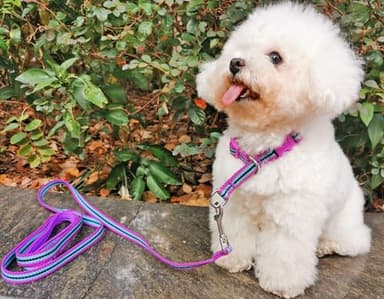 Mycicy Reflective Slip Dog Collar, Martingale Collar for Dog Training with Quick-Release Buckle Stop, No Pull Pet Collars for Small Medium Large Dogs (Purple-L) - Image 8