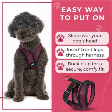 Gooby Comfort X Head in Harness - Purple, Small - No Pull Dog Harness with Patented Choke-Free X Frame for Small to Medium Dogs Indoor/Outdoor Use - Image 9