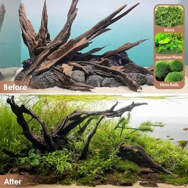 Jorewood Natural Small Aquarium Driftwood for Fish Tanks & Reptile Terrariums – 100% Safe Fish Tank Decorations, Unique Twisted Branches 5-Piece 4-8 Inch Low Tannin, Easy to Sink - Image 7
