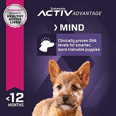 Eukanuba Puppy Small Breed Dry Dog Food, 15 lb - Image 4