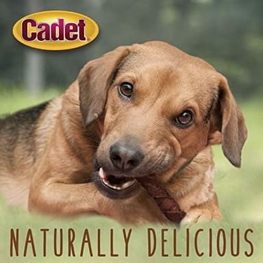 Cadet Gourmet Triple Chews Long-Lasting Pork Hide Sticks with Apple and Duck, Healthy Dog Treats for Small & Large Dogs, 6 Count - Image 6