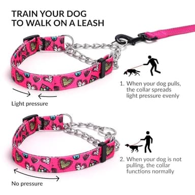haoyueer Martingale Dog Collar - Stainless Steel Chain, No Pull Training Collar with Flower Design for Large Medium Small Dogs (15, S) - Image 3