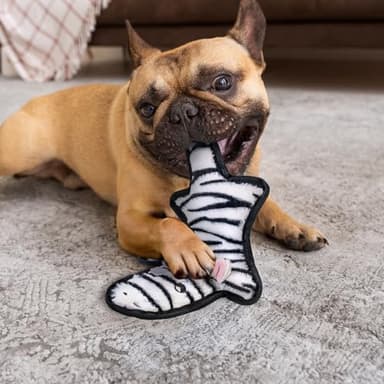 SHARLOVY No Stuffing Dog Toys Crinkle Squeaky, Long Lasting Chews for Aggressive, Durable Plush Dog Puppy Chew Toys for Teething, with 6 Tough Layers for Small Medium Large Breed - Image 5