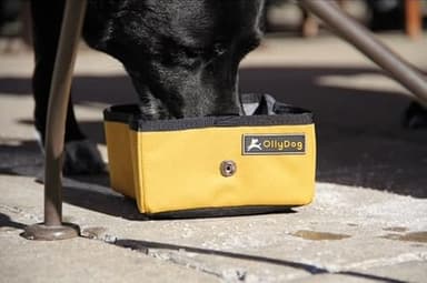 OllyDog Crumple Travel Food Bowl, Water-Resistant Collapsible Dog Bowl, Portable Dog Bowl, Pet Supplies, Ideal for Outdoor Camping, Walking, Traveling, Hiking (Raven) - Image 6