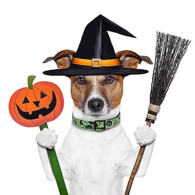 TDTOK Halloween Dog Collar, Soft Comfy Halloween Themed Pet Collar with Spooky Ghost Skull Bat Cat Witch Tree Hat Pumpkin Pattern for Small Medium Large Dogs (1 PCS) - Image 4