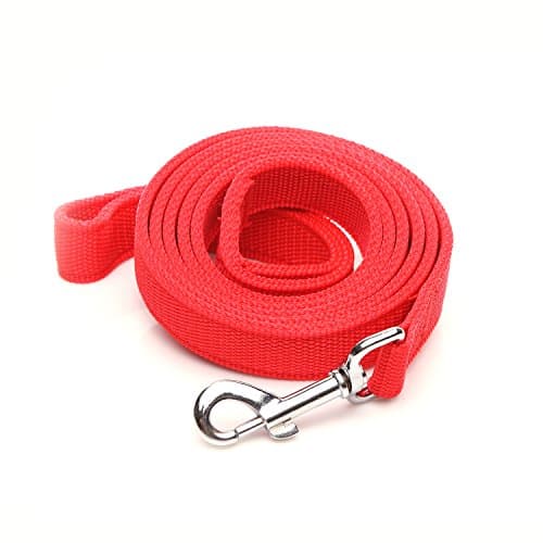 Strong Nylon Dog Leash with 2-Layer, 4 FT/ 6 FT/ 7FT Long, 1 Inch Wide for Medium Large Dogs (Red, 1'' x 2 FT) - Image 1