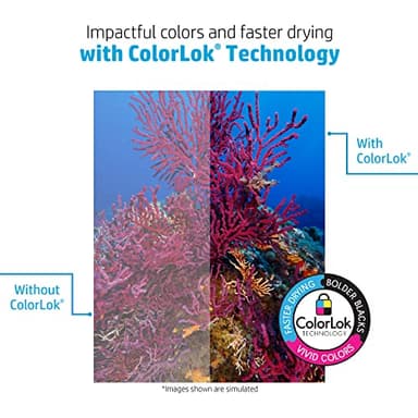 HP Printer Paper | 8.5 x 11 Paper | Office 20 lb | 3 Ream Case - 1500 Sheets | 92 Bright | Made in USA - FSC Certified | 112090C, White - Image 5