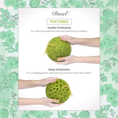 Spongentle Deep Cleansing Body Loofah Sponge, Natural Colors, for Bath and Shower, Multiple Textures for Gentle and Deep Exfoliation, Generous and Rich Lather, (Pack of 3) - Image 2