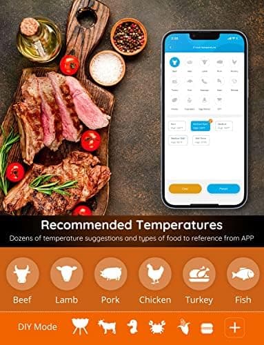 Govee Wireless Meat Thermometer with 4 Probe, Smart WiFi Meat Thermometer with Unlimited Range App Notification Alert, Digital Rechargeable Bluetooth Food Thermometer for Smoker BBQ Grill Oven Kitchen - Image 6