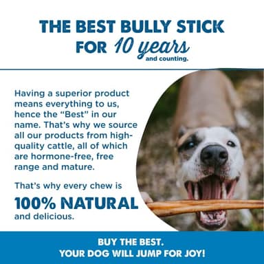 Best Bully Sticks 12 Inch Bully Sticks for Dogs - 10 Count (Pack of 1) - Natural, Easily Digestible, 100% Grass-Fed Beef, Grain and Rawhide Free - Image 6