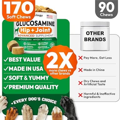 Petsology Glucosamine for Dogs - Hip and Joint Supplement for Dogs - 170 Mobility Chews - Glucosamine Chondroitin - MSM - Turmeric - Joint Pain Relief - Advanced Support for Dog Health - Made in USA - Image 4