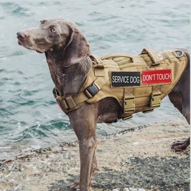 Service Dog Patch 8 Pcs, Do Not Pet, Best Friend, in Training, Emotional Support Patch, (Large-1.50 x 5.12) - Image 2