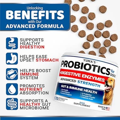 Probiotics for Dogs and Digestive Enzymes - 170 Dog Probiotics Chews - Dog Probiotic - Anti Diarrhea, Upset Stomach & Gas Relief, Constipation, Canine Prebiotic - Pet Fiber Supplement - Gut Health - Image 2