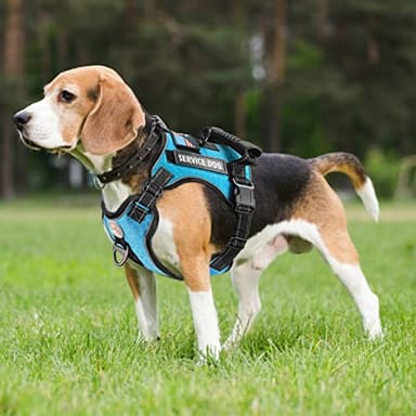 Dogmify Service Dog Harness,No-Pull Reflective Pet Vest Harness and Leash Set,Adjustable Oxford Service Dog Vest with Handle,Easy Control for Small Medium Large Dogs - Image 5