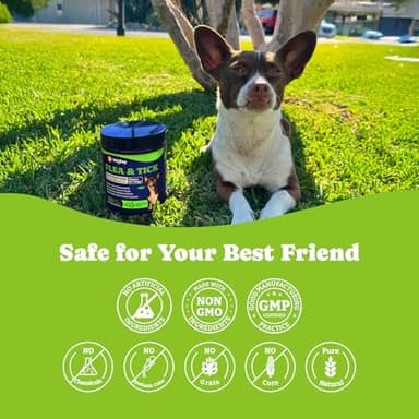 YoYoBay Flea & Tick Prevention for Dogs Chewables, Natural Dog Flea and Tick Control Treatment, Oral Flea Pills, Dogs Supplement, Natural Shield 5-in-1 Protection, Beef & Carrot Flavor, 180 Soft Chews - Image 7