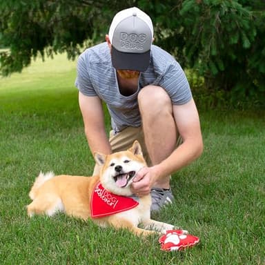 Pavilion - Best Dog Ever! - Canvas XS/Small Dog Cat Over The Collar Pawprint Bandana Attachment Kitten Puppy Kitty Doggy Feline K9 Rescue Adoptive Cat Dog Pet Accessories Embellishment - Image 4