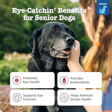 Zesty Paws Eye Supplement for Dogs - Vision Support with Antioxidants & Omega 3 Fatty Acids - 90 Chews - Image 2