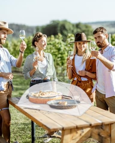 Anpro Food Covers for Outdoors - 1 Extra Large (40"x25") + 4 Large (17"x17") Pop-Up Mesh Food Tents, Collapsible Reusable Bug-Proof Nets for Picnics, BBQs & Camping, Stainless Steel Frame - Image 8