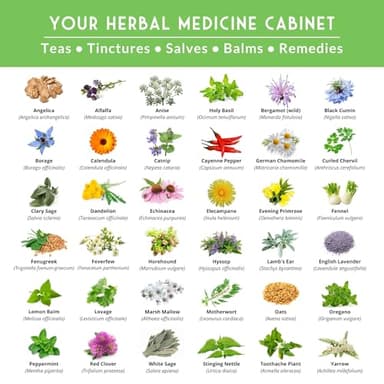 Ultimate Medicinal Herb Seeds Variety Pack – 36 Heirloom Varieties, 28,000+ Lavender, Calendula, Echinacea, Peppermint, Yarrow – Non-GMO Garden Kit by Survival Garden Seeds - Image 2