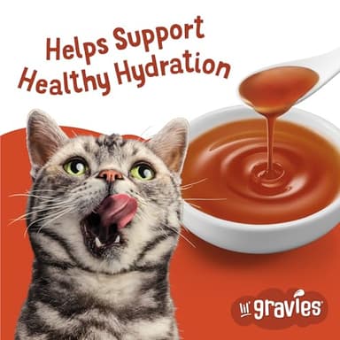 Purina Friskies Lil' Gravies Roasted Chicken Flavor Cat Food Lickable Cat Treats - (Pack of 16) 1.55 oz. Pouches - Image 3
