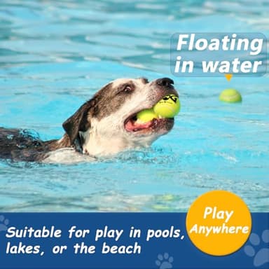 INSUM Squeaky Tennis Balls for Dogs - 12 Pack 2.0'' Durable Non-Toxic Outdoor Dog Toys Balls with Mesh Bag, SGS Certified, Colorful Fetch Toys,Small Breeds - Image 7