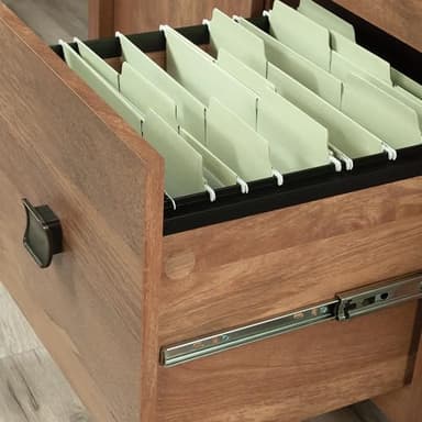 Sauder Cannery Bridge Small Credenza, Sindoori Mango Finish - Image 4